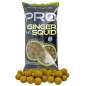 STARBAITS Boilie Probiotic Ginger Squid 14mm 2,5kg