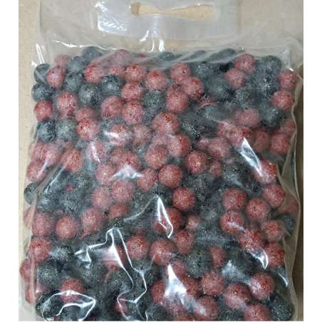 RAPTOR BAITS Kŕmne Bolies Halibut 5kg