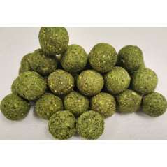 RAPTOR BAITS Kŕmne Bolies Anýz 5kg