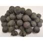 RAPTOR BAITS Kŕmne Bolies Mŕtva Ryba 5kg