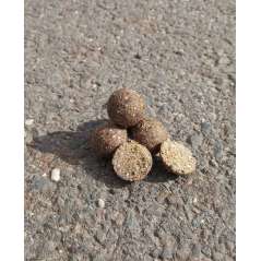RAPTOR BAITS Kŕmne Bolies Repkáče 5kg 20mm