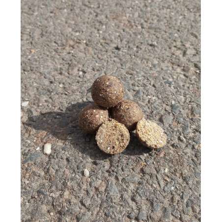 RAPTOR BAITS Kŕmne Bolies Repkáče 5kg 20mm