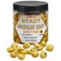 Starbaits Tygrý orech Bright Ready Seeds Hold Up Fermented Shrimp 250ml Starbaits Tygrý orech Bright Ready Seeds Hold Up Fermented Shrimp 250ml